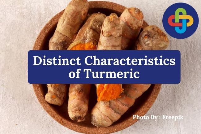  3 Distinct Characteristics of Turmeric That Make It Easy to Identify